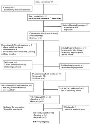 Are Patients at Risk for Recurrent Disease Activity After Switching From Remicade® to Remsima®? An Observational Study